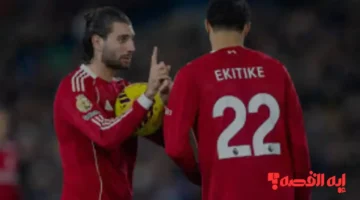 ماتش Inter vs Liverpool.. كيفية مشاهدة مباراة ليفربول وإنتر ميلان التاريخية بدوري أبطال أوروبا مباشرة عبر القنوات الناقلة للقاء